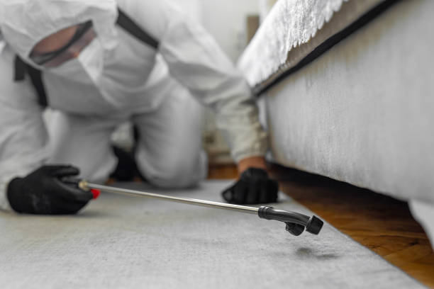 Professional Bed Bug Control technician working in Pike County County, GA